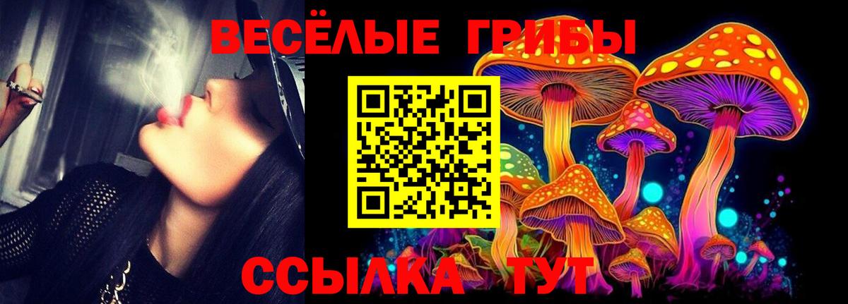 Псилоцибиновые грибы Magic Shrooms  Псилоцибиновые грибы Psilocybe  Серпухов  Вход с VPN 